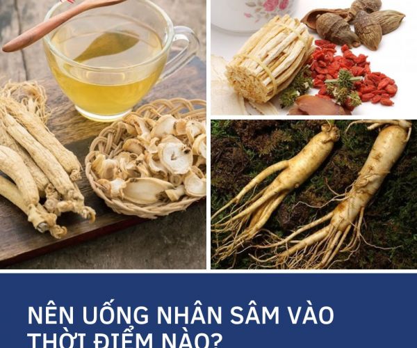 Nên Uống Nhân Sâm Vào Thời Điểm Nào Để Tối Ưu Hiệu Quả