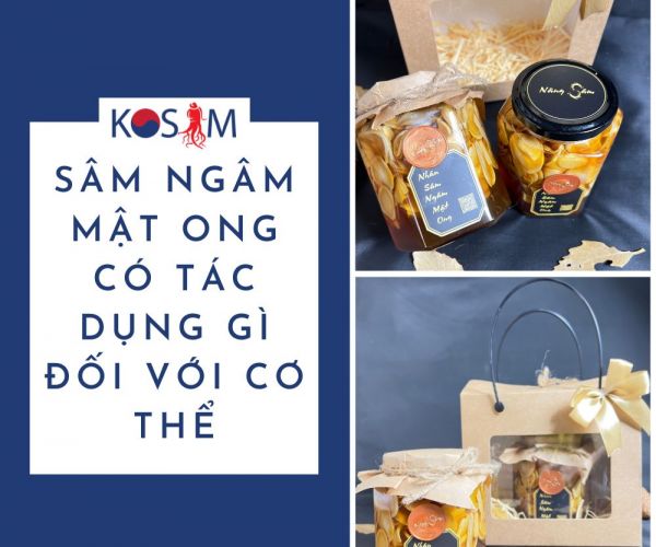 Sâm Ngâm Mật Ong Có Tác Dụng Gì Đối Với Cơ Thể