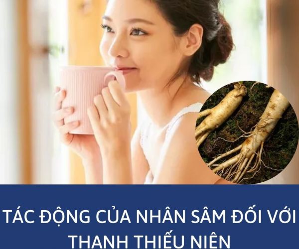 TÁC ĐỘNG CỦA NHÂN SÂM ĐỐI VỚI THANH THIẾU NIÊN