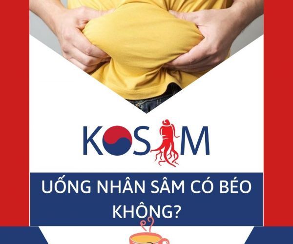 UỐNG NHÂN SÂM CÓ BÉO KHÔNG? CÓ NHỮNG LOẠI NHÂN SÂM NÀO?