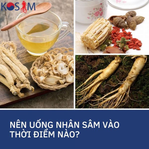 Nên Uống Nhân Sâm Vào Thời Điểm Nào Để Tối Ưu Hiệu Quả