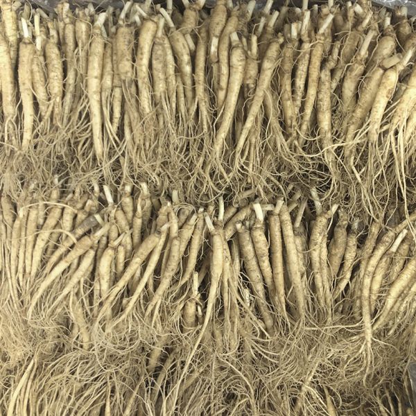 25-35 roots per kg type 1