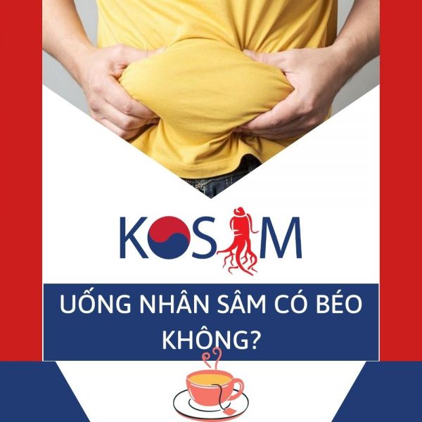 UỐNG NHÂN SÂM CÓ BÉO KHÔNG? CÓ NHỮNG LOẠI NHÂN SÂM NÀO?