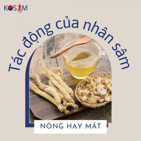 Uống Nhân Sâm Mát Hay Nóng? Cần Lưu Ý Điều Gì Khi Uống Sâm?