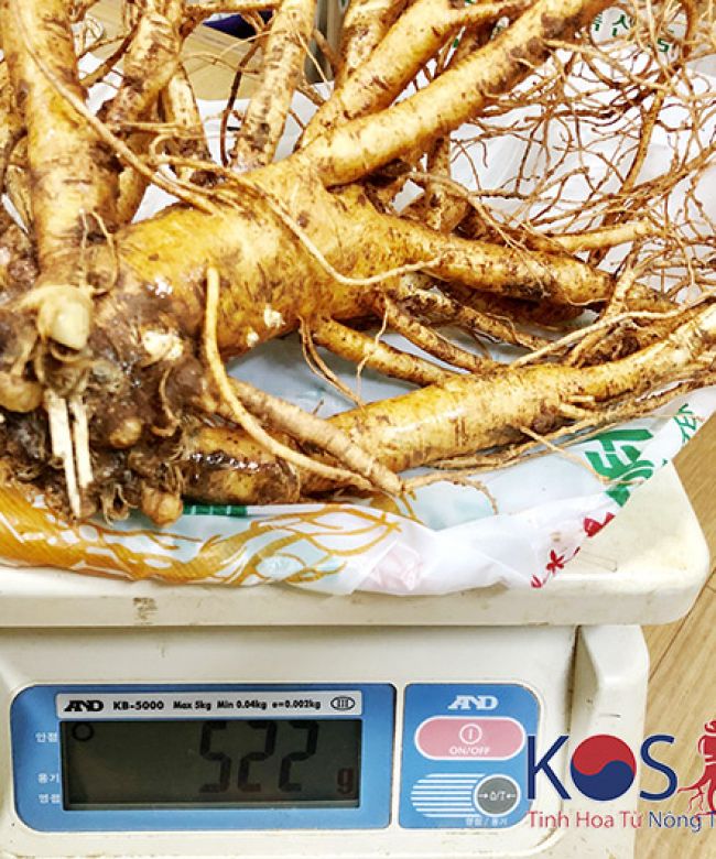 Sâm 2 củ 1 kg