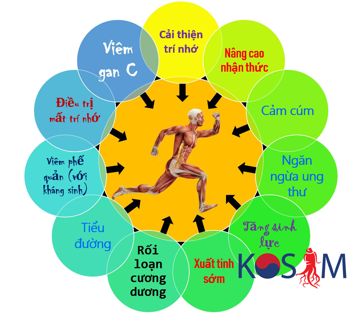 11 công dụng của nhân sâm Hàn Quốc