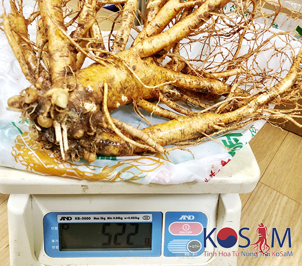 Nhân sâm 2 củ 1kg